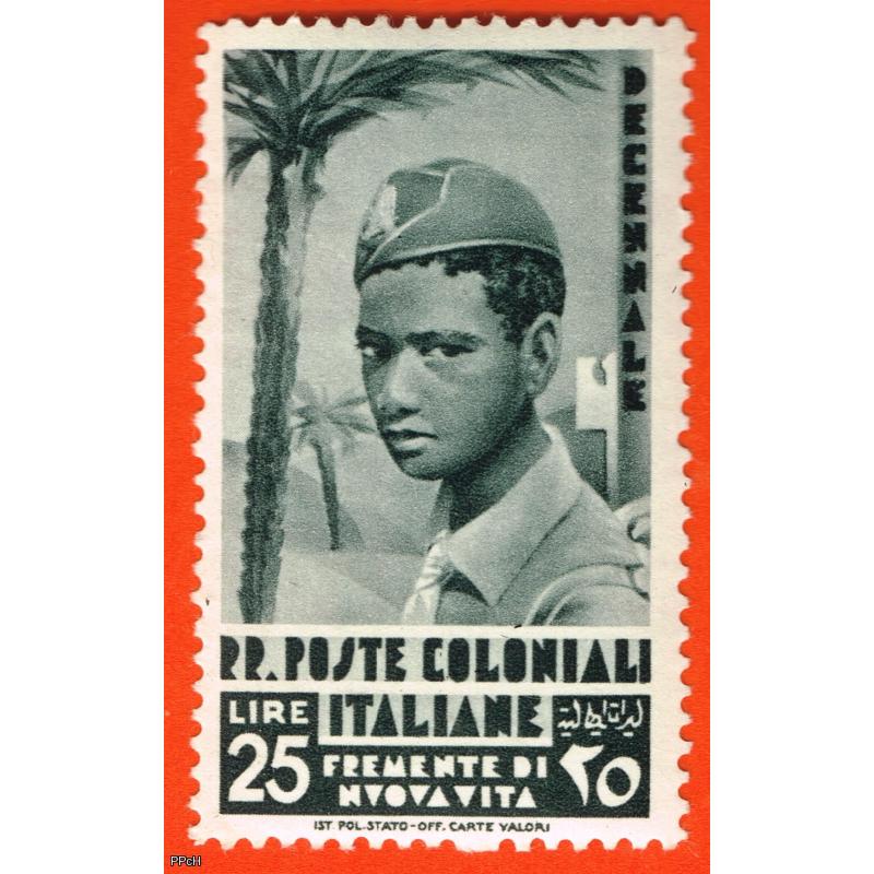 Colonie emissioni generali- decennale 1933 - alto valore MH lire 25